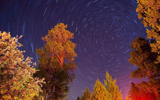 How to Take Star Trails