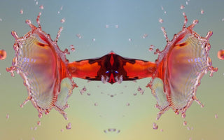 9 Tips for Choosing the Best Water Drop Photography Kit