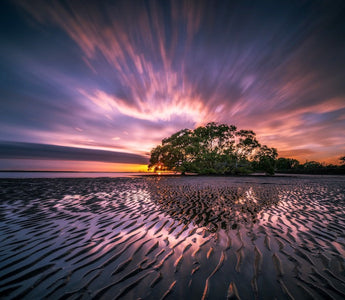 trees near a lake shot under colorful and moving clouds